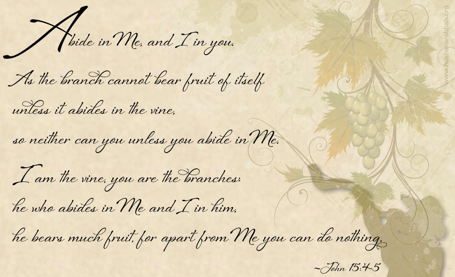 John 15:4-5